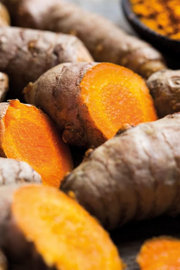 KHADI SHATAVARI EVERYOUNG Ayurvedic Elixir Skin & Soul Body Oil, 100% Natural, Herbal & Vegan, Firming oil for your skin, refines, renews, and promotes elasticity, 3.38 oz