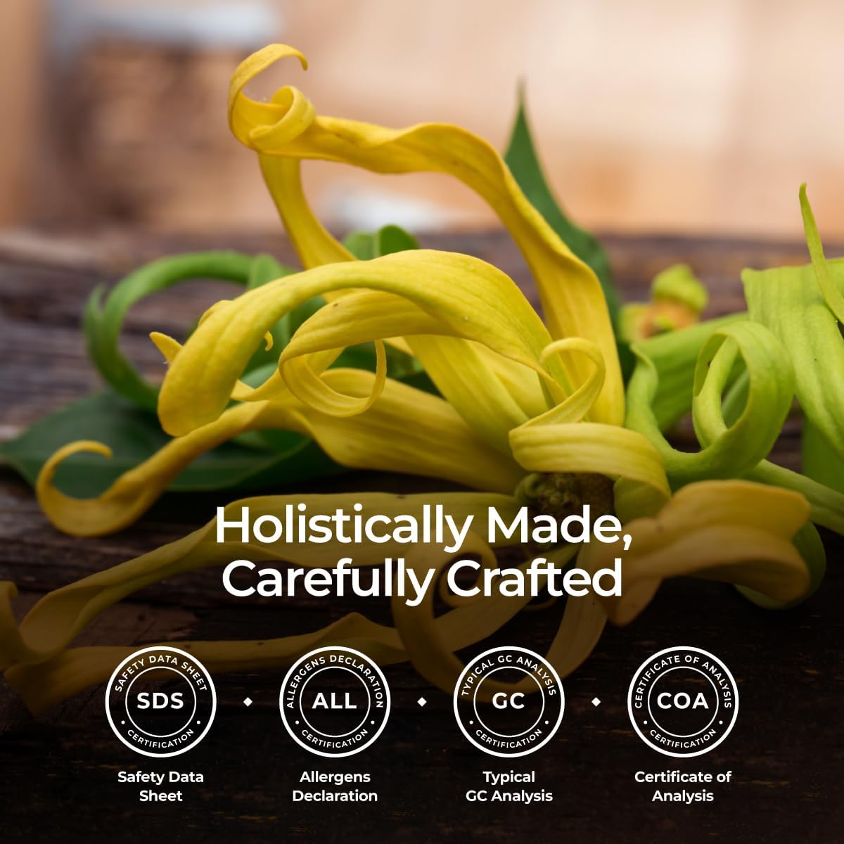 Gya Labs Organic Ylang Ylang Essential Oil - 0.34 Fl Oz - for Skin, Hair, Diffuser, Aromatherapy, DIY Candle Making Scents