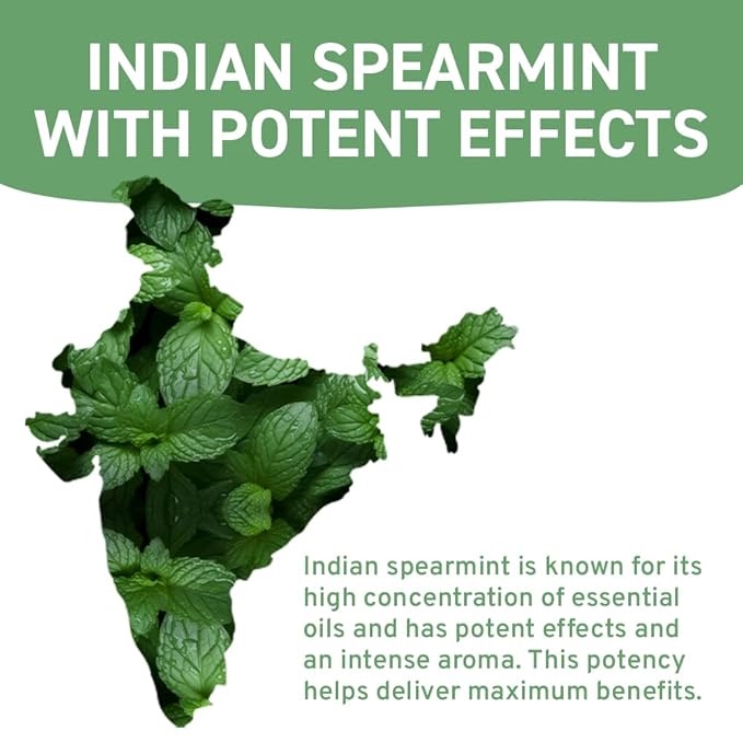 HANDPICK, Spearmint Tea Bags (100 Herbal Tea Bags) |Refreshing Mint Tea | Non-GMO, Gluten Free | Round Eco-Conscious Teabags