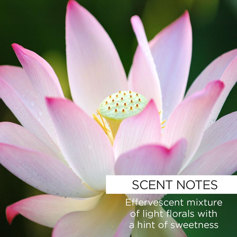 ROSE HIP LOTUS MILK BATH