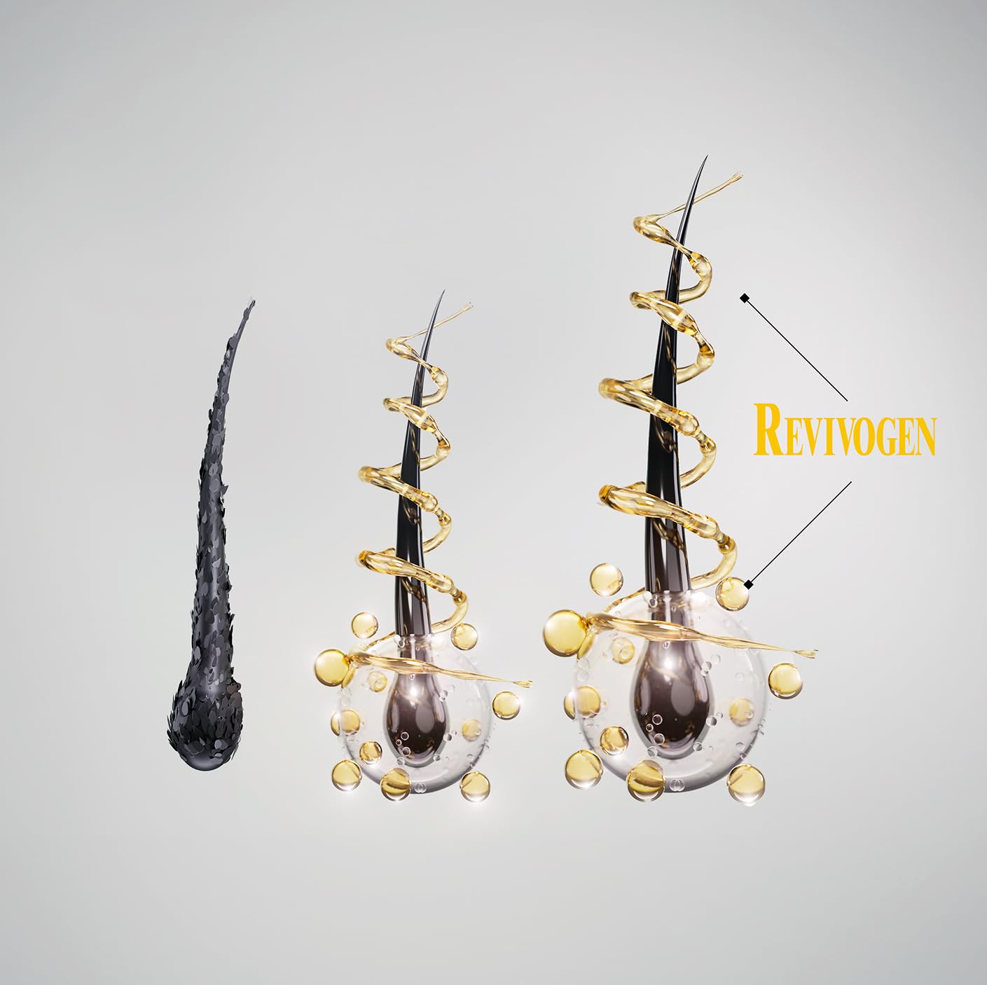 Revivogen MD Bio-Cleansing Shampoo for Thinning Hair, DHT Blocker Shampoo, Hair Loss Shampoo, Shampoo Thinning Hair, Soothes Scalp, Routine Shampoo for Women/Men Hair Loss, Hair Shampoo, 12oz