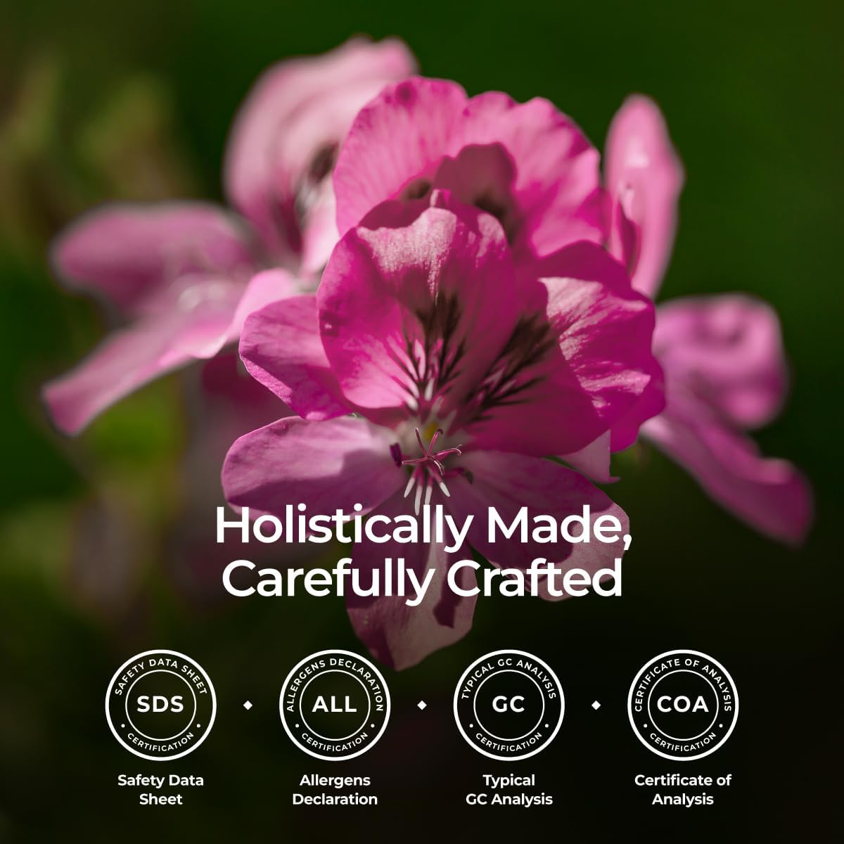 Gya Labs Organic Rose Geranium Essential Oil - 0.34 Fl Oz - for Skin, Hair, Diffuser, Aromatherapy, DIY Candle Making Scents