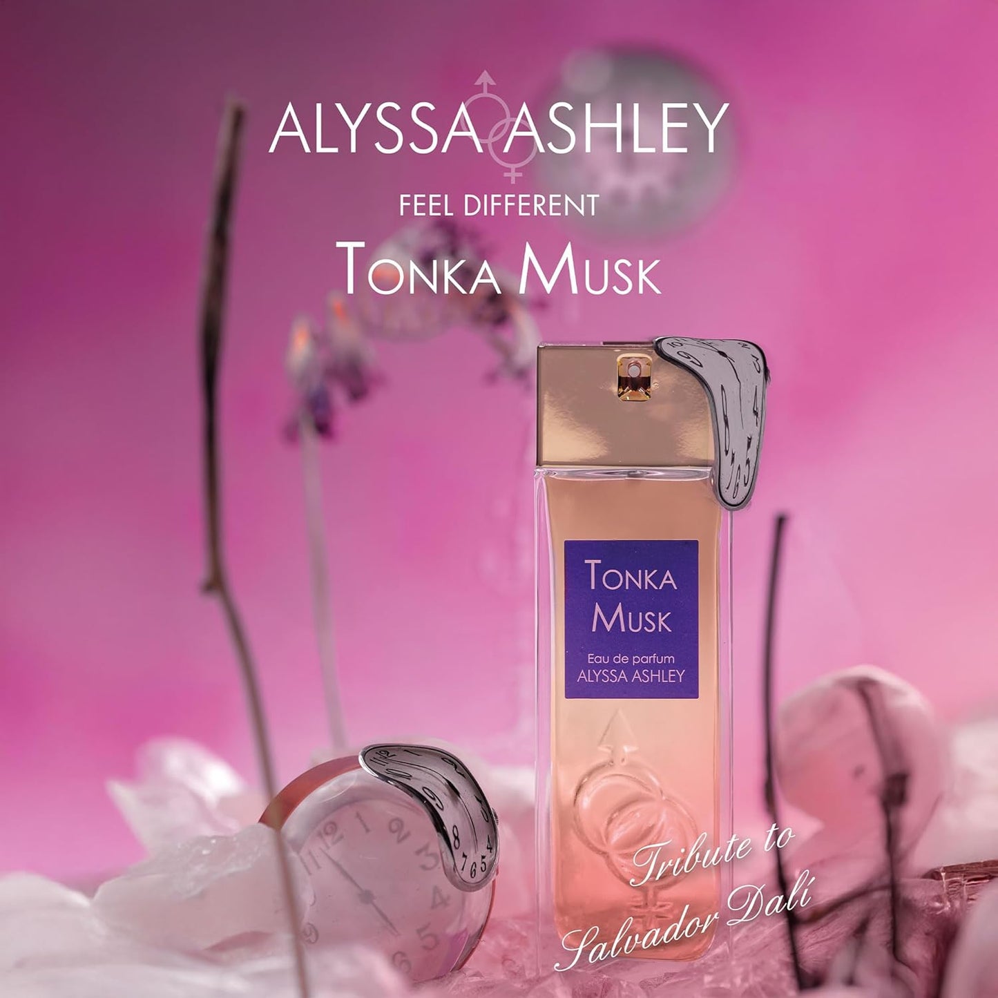 Alyssa Ashley Tonka Musk - Mini Perfumes for Women and Cologne for Men - Long Lasting Amber Fragrance - Travel Perfume - 1 oz EDP Spray