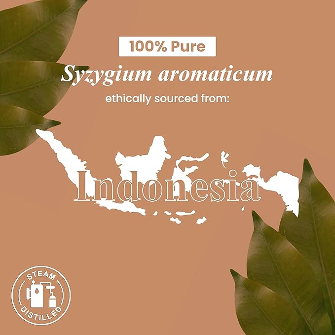 Handcraft Blends Clove Essential Oil - 1 Fl Oz - 100% Pure and Natural - Premium Grade Essential Oil for Diffuser and Aromatherapy