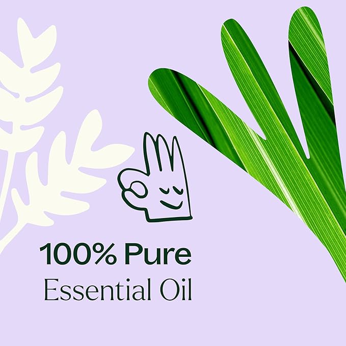 Plant Therapy Anti Age Essential Oil Blend 10 mL (1/3 oz) 100% Pure, Undiluted, Therapeutic Grade