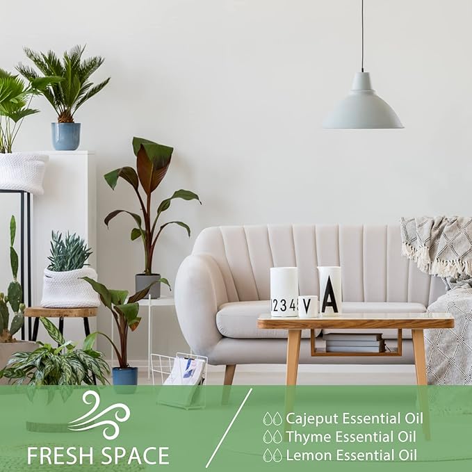 Cajeput 3.38fl.oz Essential Oil, PHATOIL Pure Aromatherapy Oils for Diffuser, Humidifier, Perfect for DIY Soap, Candle, Bath Bombs Making(100ml)