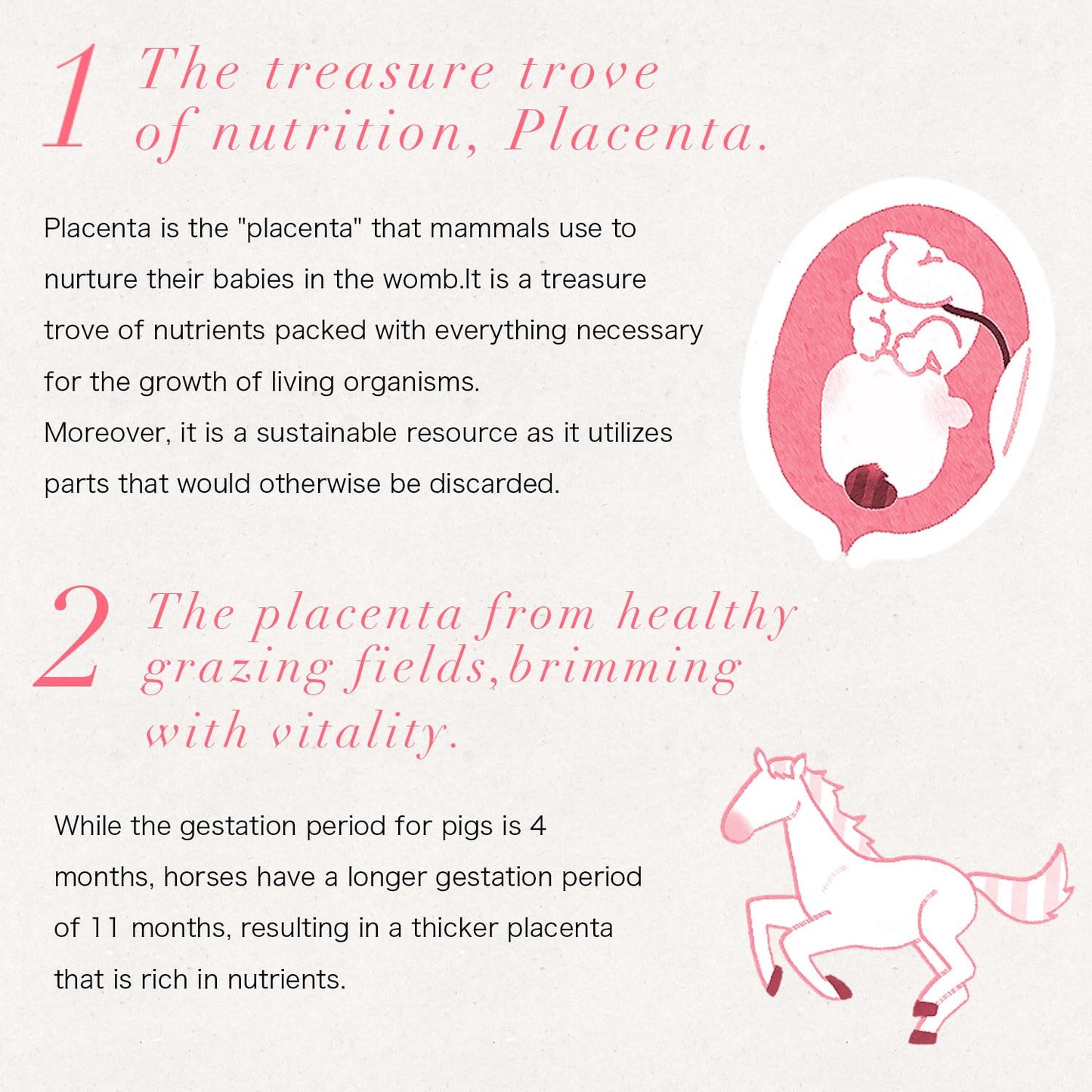 shampoo & conditioner (conditioner)