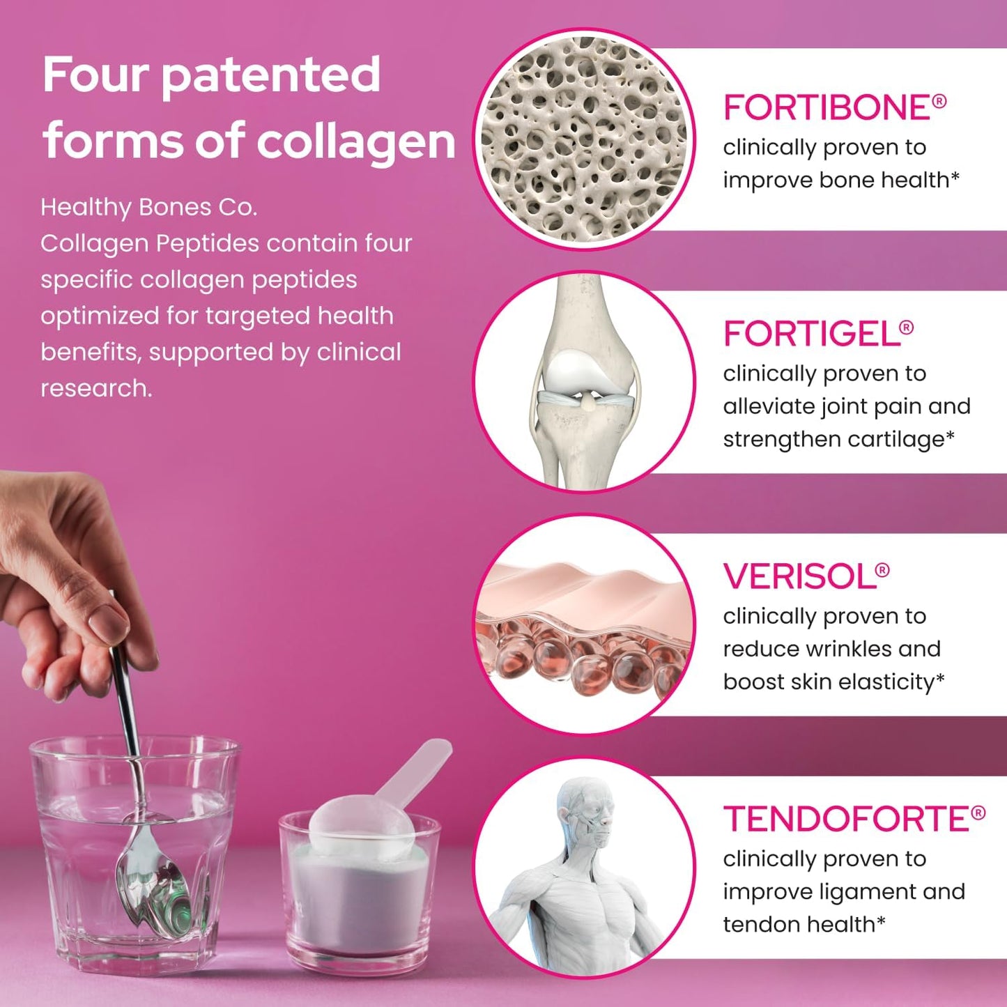 FORTIBONE Premium Bone Health Collagen Peptides w/FORTIGEL, VERISOL, TENDOFORTE | Clinically-Supported for Bones Joints Skin Hair Nails | Hydrolyzed Collagen Complete Anti-Aging Formula | 30 Servings