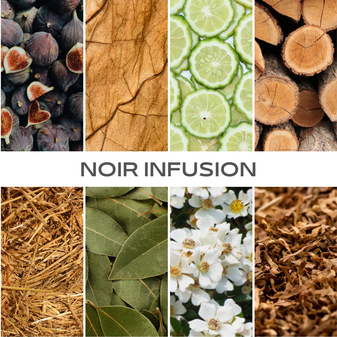 Inspired by L.e L.a.b's Thé N.oi.r 29, Noir Infusion EDP, Long Lasting 12-14 Hours Perfume Spray for Men, Women, unisex, All Skin Types, Cruelty Free 0.33 oz 10ml