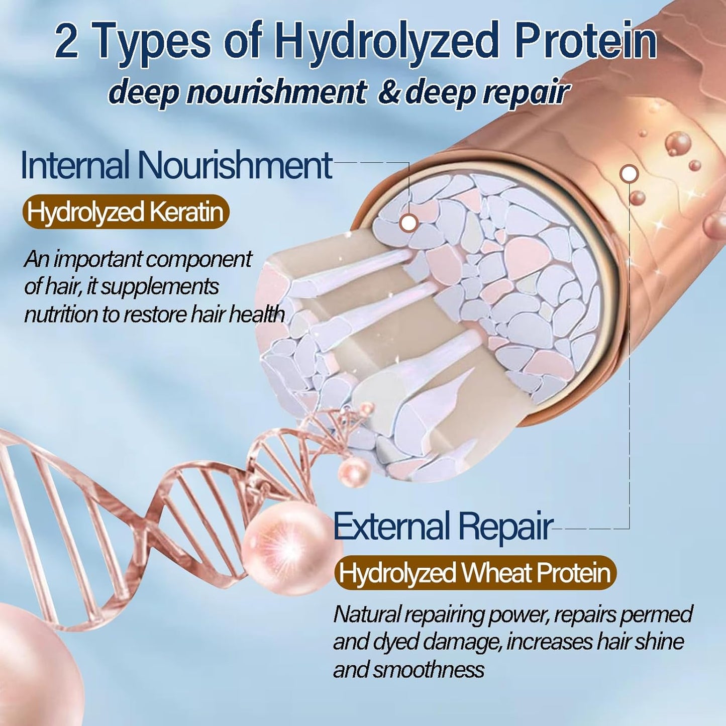 Hydrolyzed Keratin Hair Mask | Pure Plant Keratin Treatment at Home | Deep Moisture Repair Deep Conditioning for Dry, Damaged, Curly, Oily, Frizzy Hair Protein Mask(15Fl Oz)