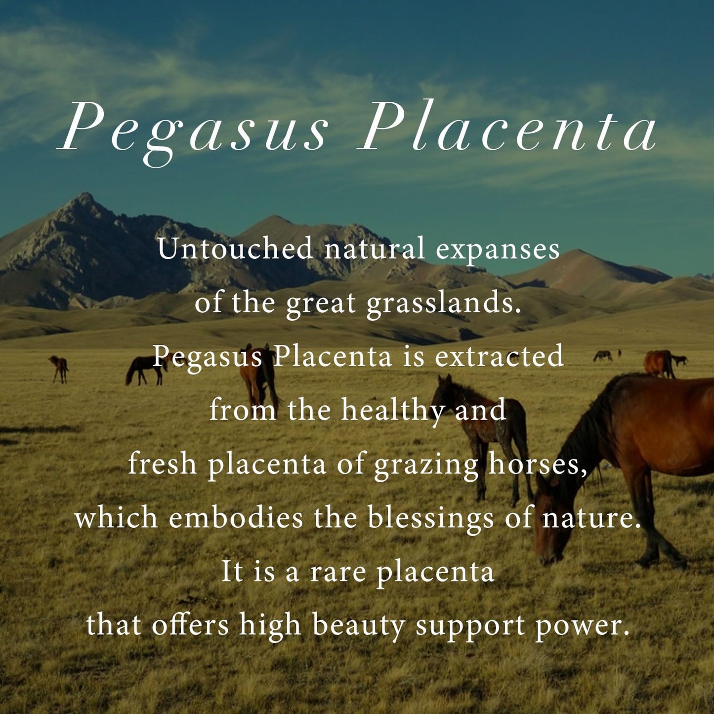 shampoo & conditioner (conditioner)