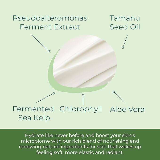 Kelp Tamanu Oil Night Cream Hydrating Face Moisturizer Reparative Skin Softening Skincare - Nighttime Anti Aging Facial Lotion for Women & Men - 1 Oz