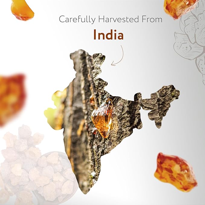 HBNO Organic Frankincense Essential Oil Roll-On - 1/3 oz (10 ml) Travel Size - USDA Certified Organic Frankincense and Mct Oils - Perfect for Traveling, Aromatherapy, Massage, perfumes, moisturizer.