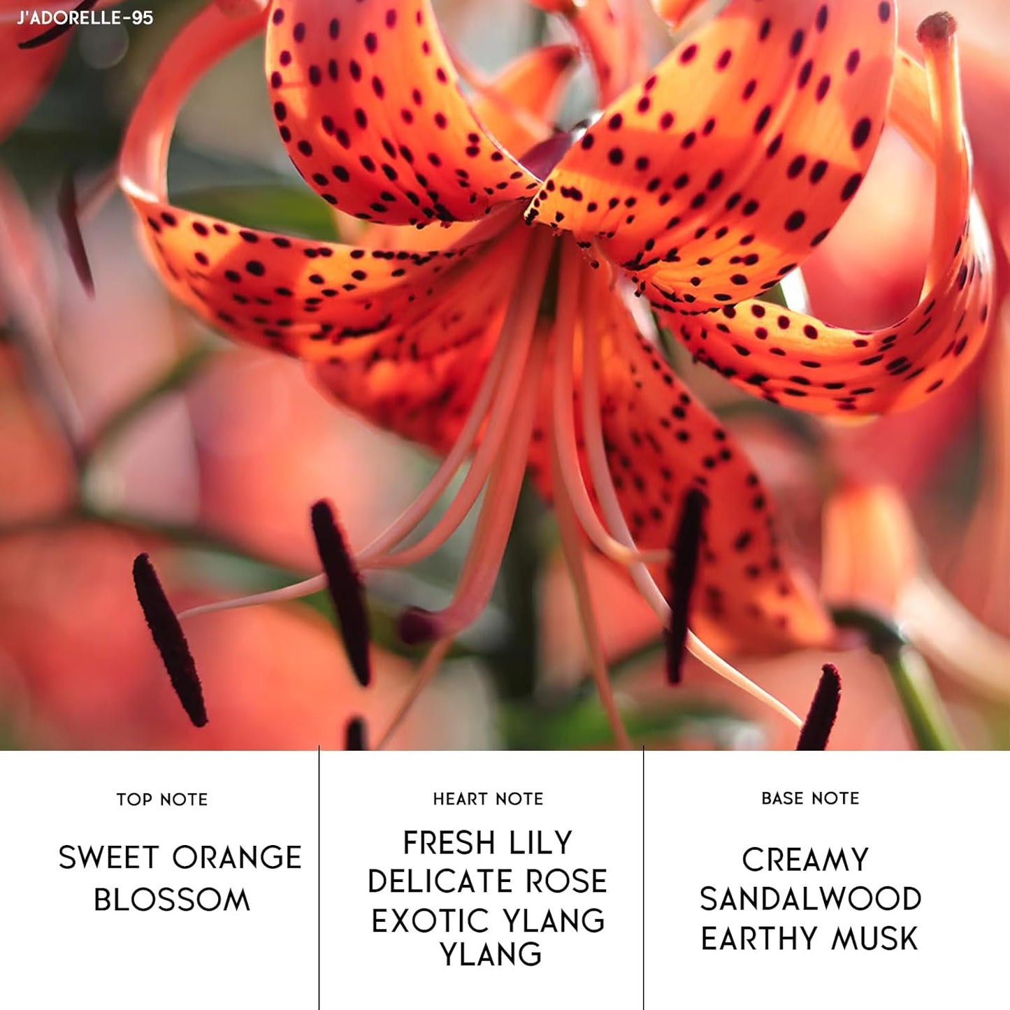 Pheromones Perfumes for Women&Men, No. 95,Blend of Ylang-Ylang,Jasmine,Rose Notes, Long Lasting Perfume Oil, 0.6oz Travel Size Spray Alloura Pheromone Perfume (J'ADORELLE)