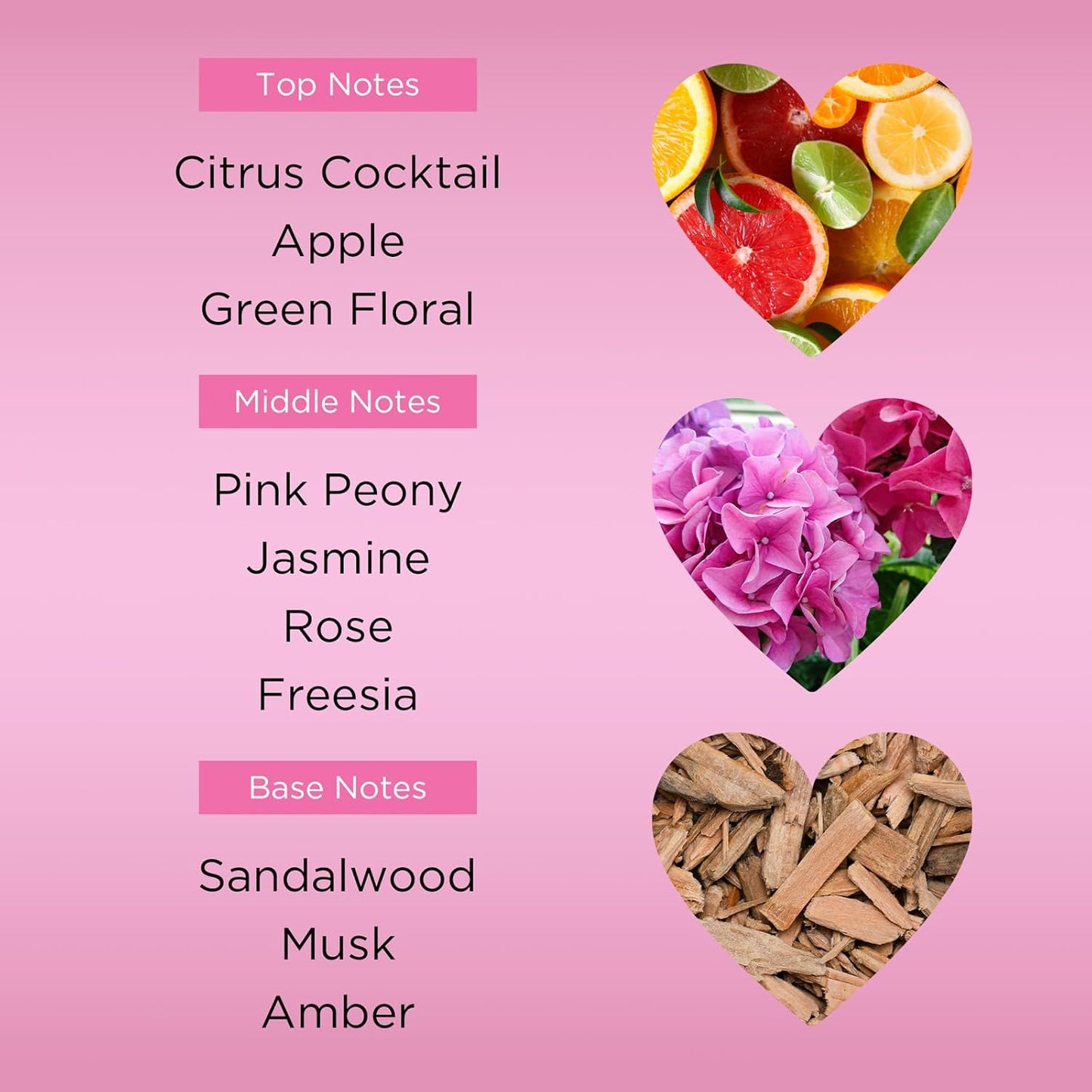 Bebe Sheer Eau de Parfum Spray for Woman - Long Lasting Amber Floral Womens Fragrance - Notes of Citrus Cocktail, Pink Peony and Sandalwood Perfume for Women - 3.4 oz