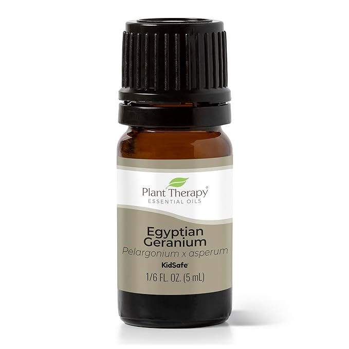 Plant Therapy Egyptian Geranium Essential Oil 100% Pure, Undiluted, Natural Aromatherapy, Therapeutic Grade 5 mL (1/6 oz)