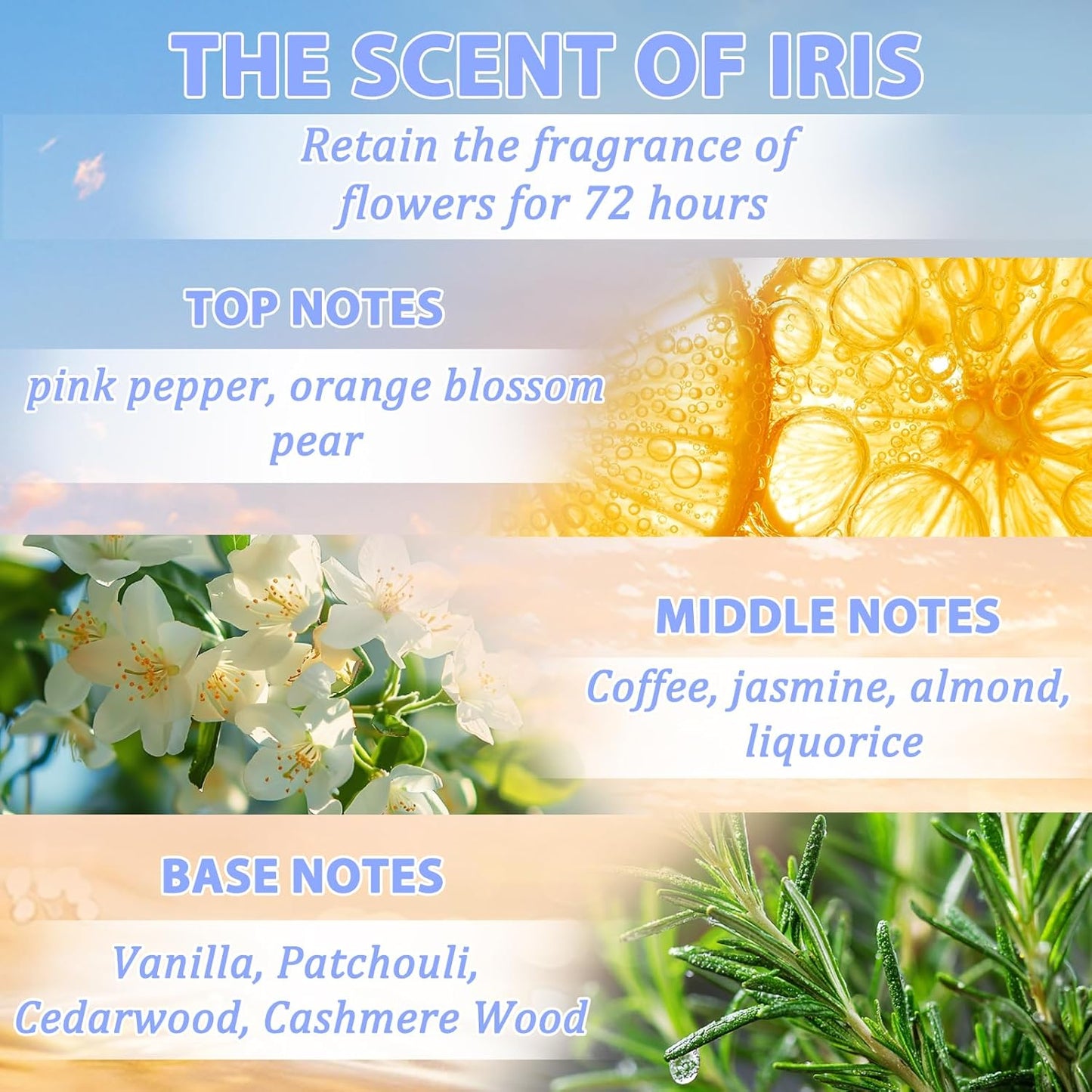 Tgideas Hair Oil Spray - Leave-in Hair Conditioning Oil with Jojoba Oil and Shea Butter -Clear Hair Oil Spray - For Dry Hair, Curly Hair, Detangling, Styling and Moisturizing- for Women & Men