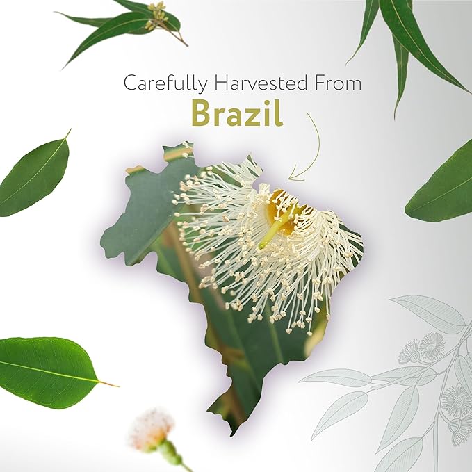 HBNO Lemon Eucalyptus Essential Oil - Huge 4 oz (120ml) Value Size - Natural Lemon Eucalyptus Oil - Perfect for Cleaning, Aromatherapy, DIY, Soap & Diffuser - Lemon Eucalyptus Essential Oil