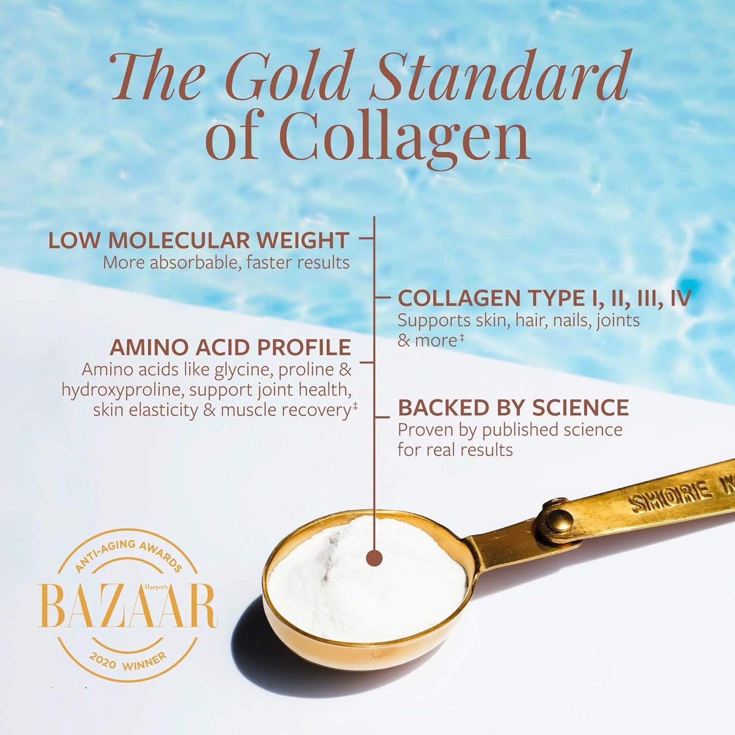 Shore Magic Premium Marine Collagen Powder Types I-IV | Wild Fish-Sourced, Hydrolyzed, Unflavored & Odorless | 9g Protein Per Serving – Supports Skin, Hair, Nails, Joints & Bones | 4-Month Supply