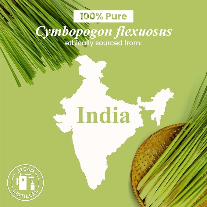 Handcraft Blends Lemongrass Essential Oil - Huge 4 Fl Oz - 100% Pure and Natural - Premium Grade Essential Oil for Diffuser and Aromatherapy