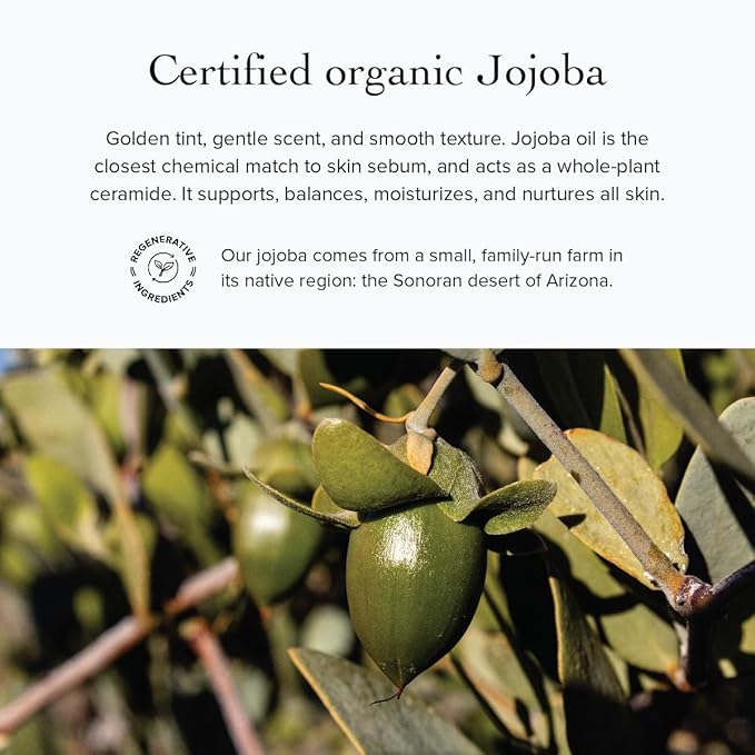 evanhealy Rose Trinity Beauty Elixir | Organic Natural Humectant Rejuvenating & Smoothing Facial Oil | Minimize Fine Lines & Wrinkles