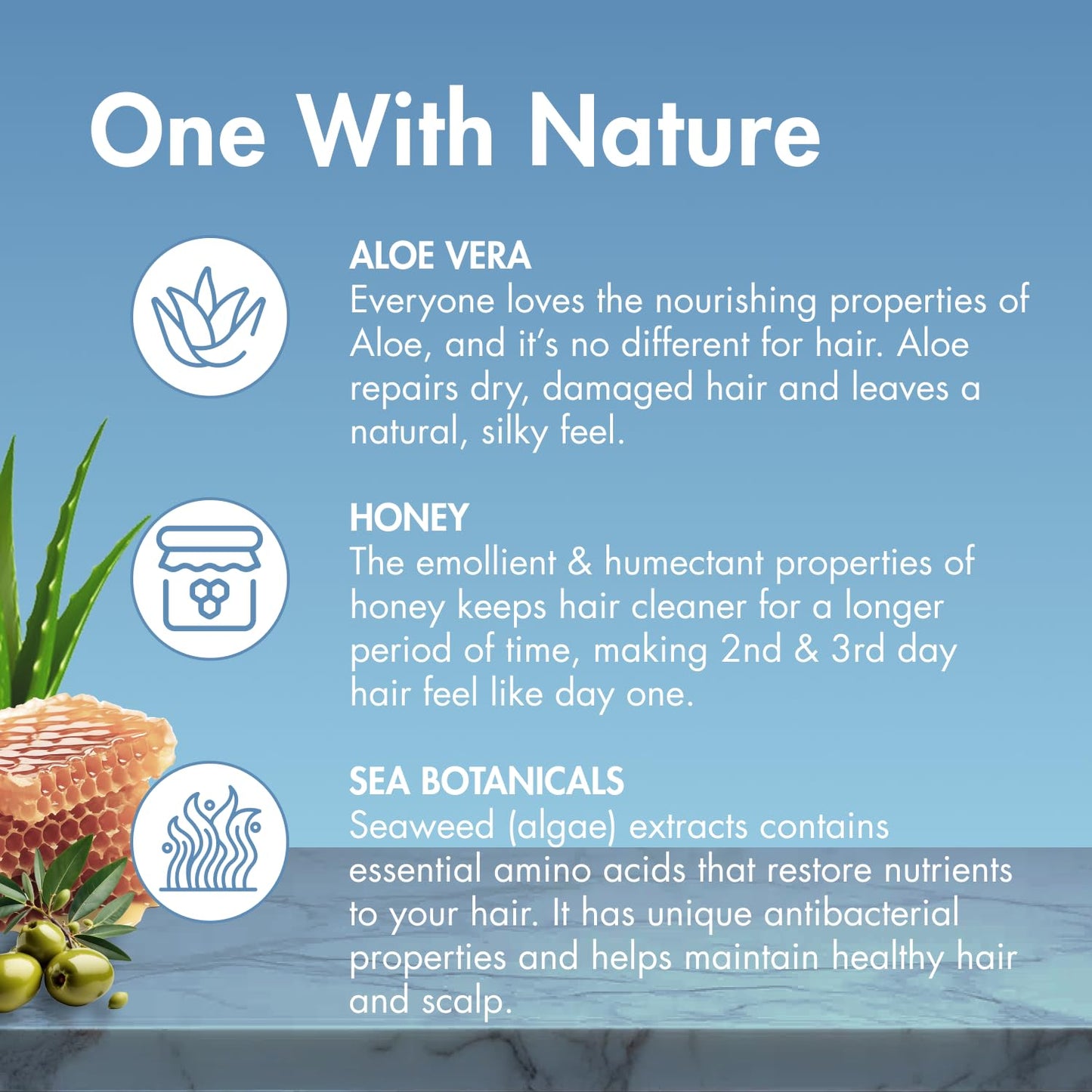 MopTop Daily Curly Hair Conditioner – Silicone & Sulfate Free Conditioner Helps Restore Dry Damaged Hair & Reduce Frizz, Paraben Free Natural Hair Products for All Hair Types (Bamboo, 2pk)