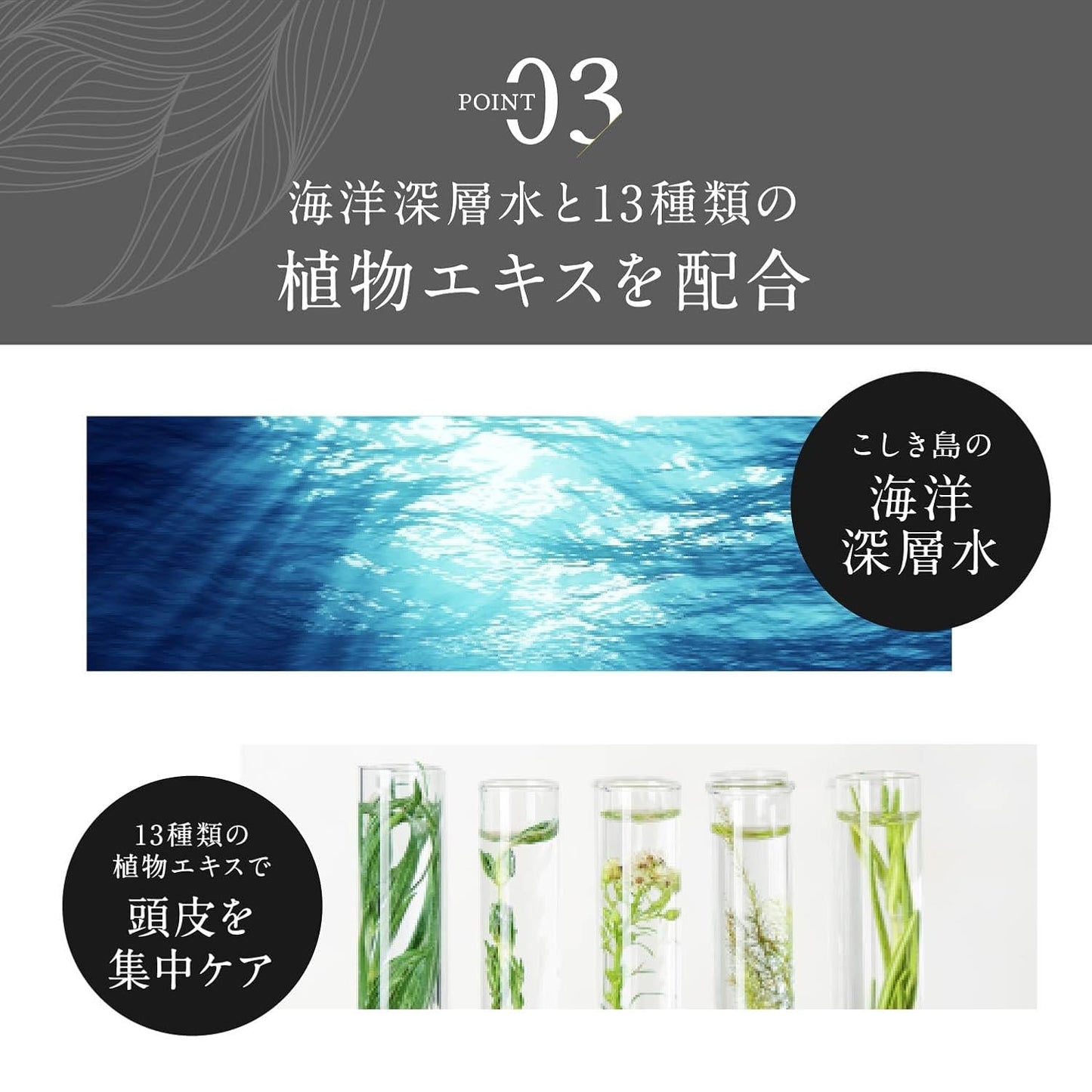 Kiwabi Root Vanish Anti Gray Hair Serum – Lightweight Daily Scalp Serum to Support Repigmentation – Hair Serums for Women & Men with Biomimetic Peptide, Ginseng, B12 – No Sulfates, No Parabens (30ml)