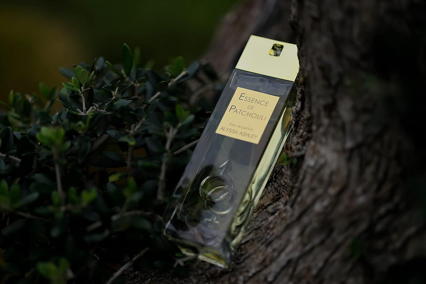 Alyssa Ashley Essence de Patchouli - Vanilla Perfume for Women with Floral Notes - Elegant Womens Fragrance with Rose and Geranium - 1.7 oz EDP Spray