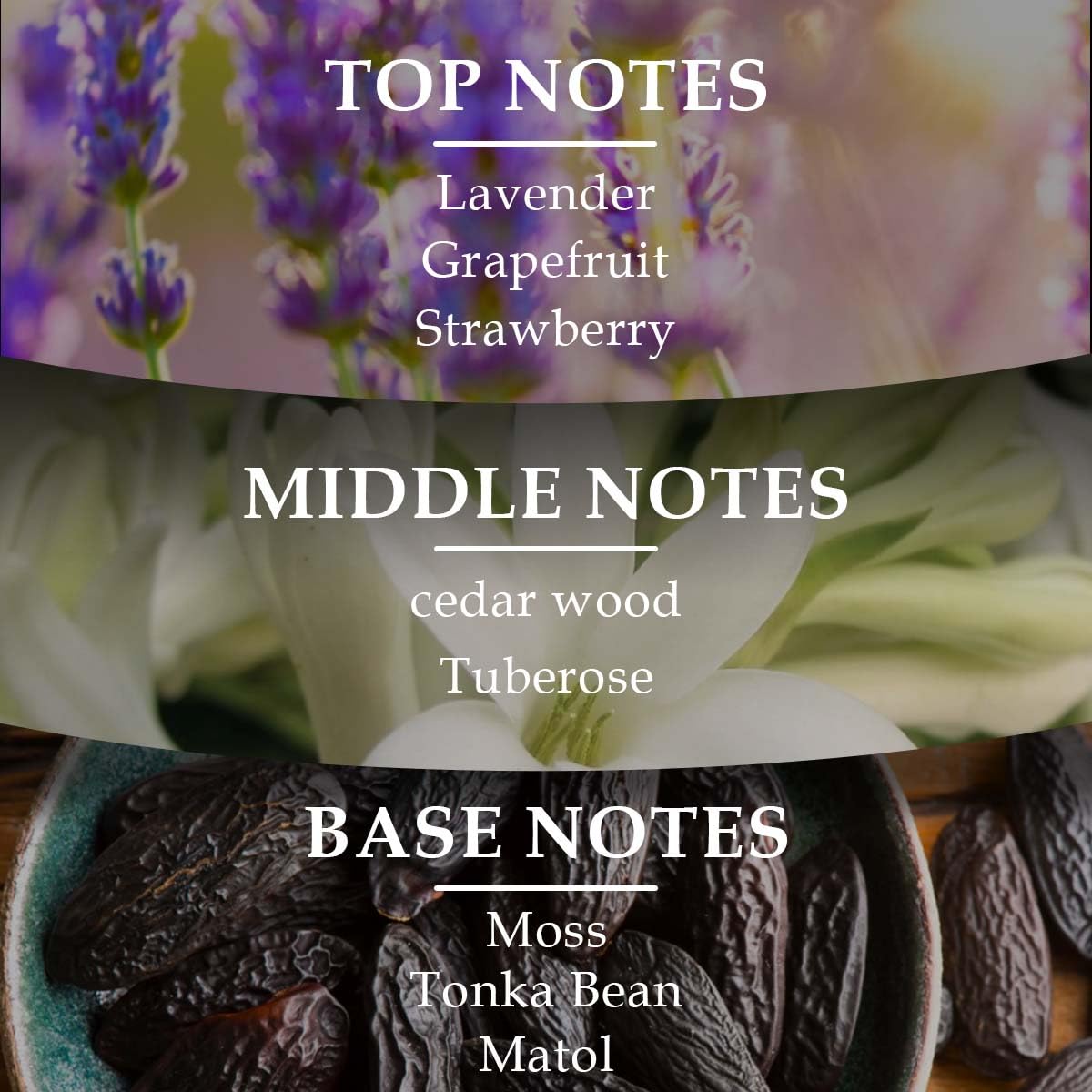 LONKOOM Noble Black Perfume for Women Men, 3.4 Fl Oz/100ml Floral Fruity Perfumes Eau de Parfum Spray Unisex Long-Lasting Fragrance, Lavender Grapefruit Pepper Cedar Wood Tuberose Jasmine Moss Leather