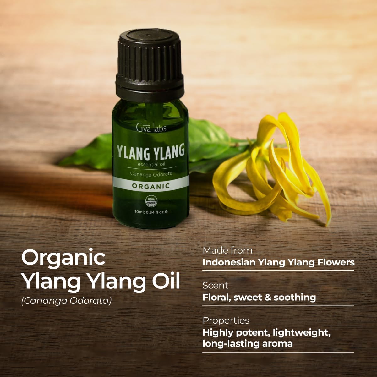 Gya Labs Organic Ylang Ylang Essential Oil - 0.34 Fl Oz - for Skin, Hair, Diffuser, Aromatherapy, DIY Candle Making Scents