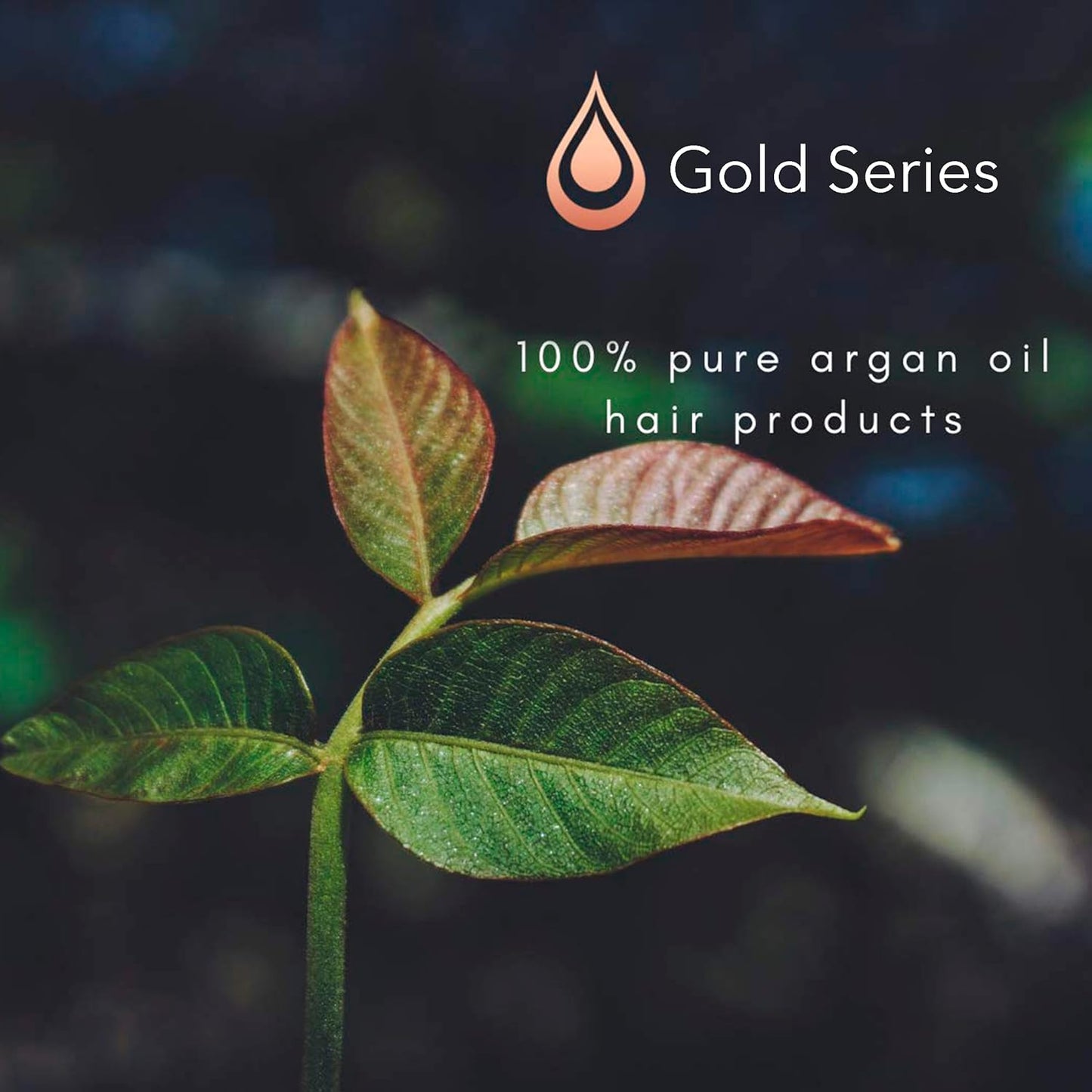 Gold Series Leave-In Hair Mask – Argan Oil Hair Mask Enriched with Keratin – Nourishing and Gently Detangling Leave In Conditioner Spray For Curly Frizzy or Damaged Hair, 8.4 Fl.oz