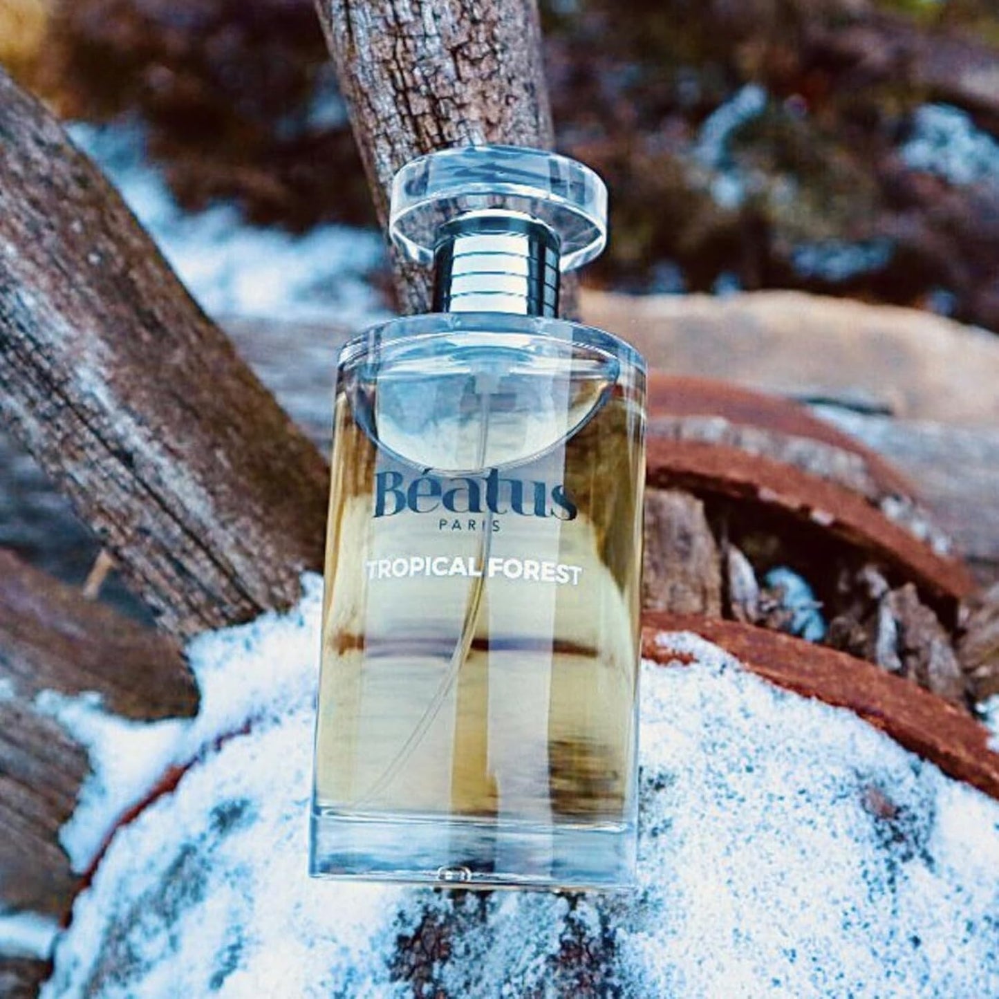 Beatus Paris Tropical Forest - Luxury Mens Cologne - Long-Lasting Fragrance - Notes of Fruity Opening with Pineapple, Green Apple, Bergamot Scent - All Day Wear EDP Spray - Travel Size Perfume - 3.4oz