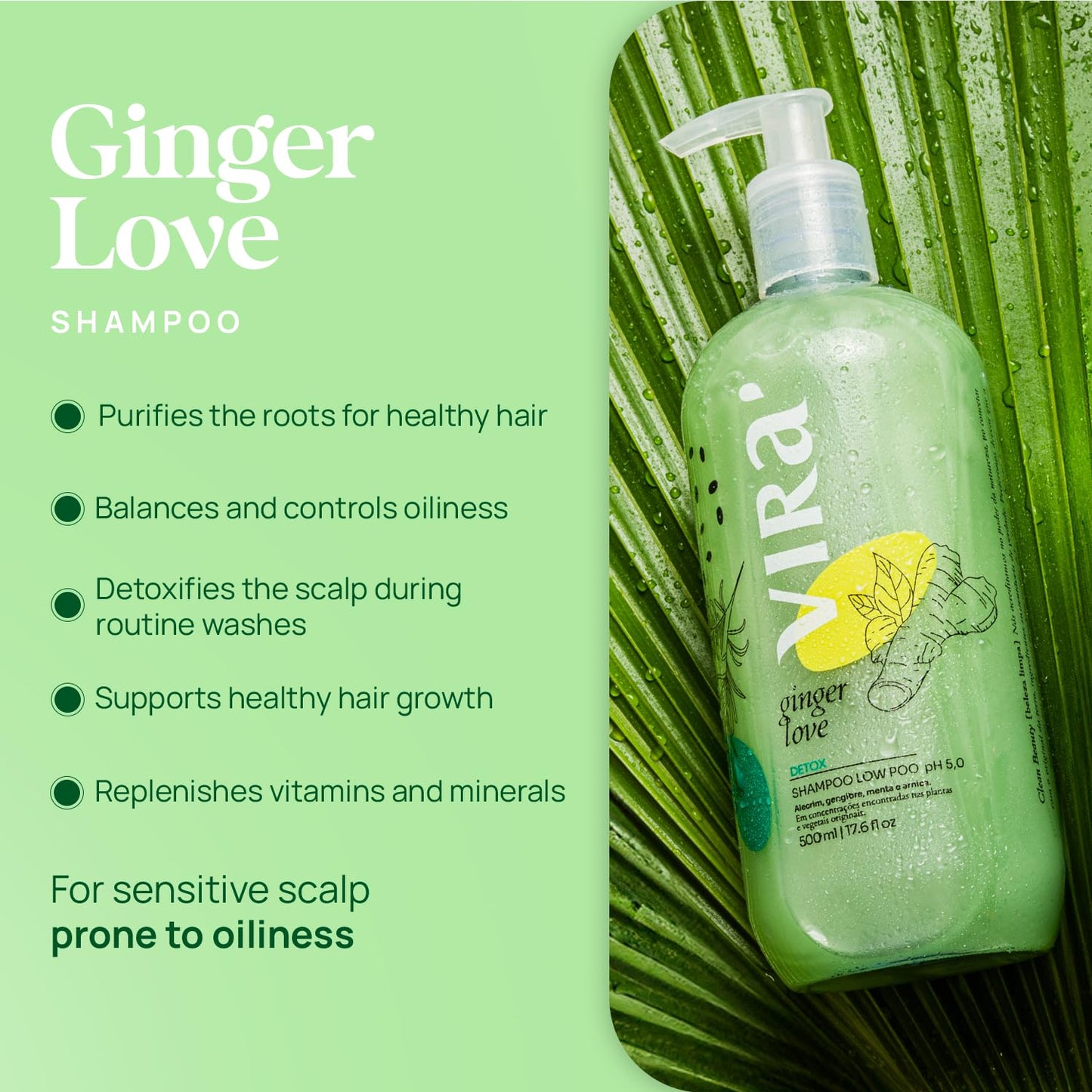 Brazilian Shampoo and Conditioner Set, Paraben-Free, Deep Moisturizing Treatment, Hair Recovery, Refreshing Action, Ginger Love Detox & Clean Beauty, 17.6 Fl Oz Each