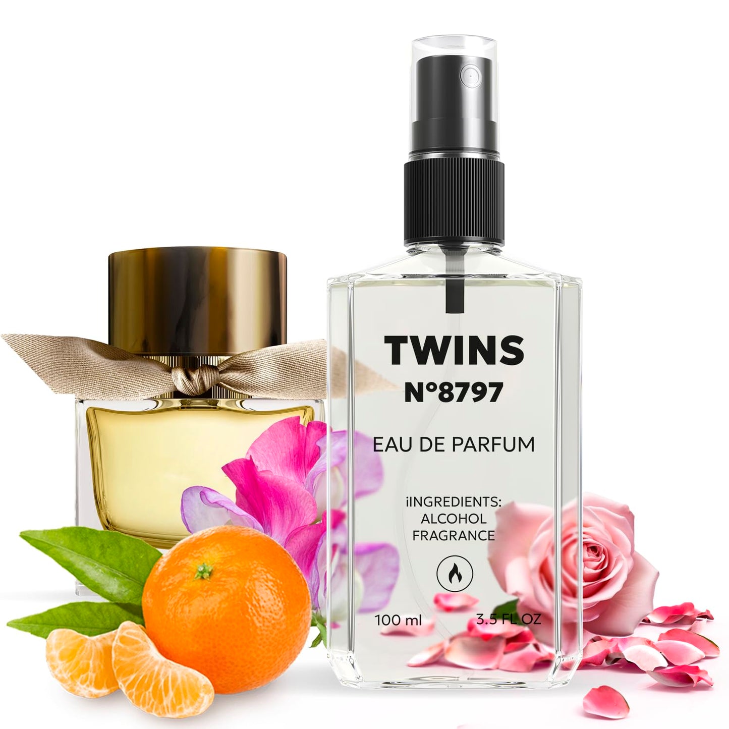 TWINS Impression of My Br. | Perfume for Women Eau de Parfum | No.8797 | 3.4 Fl Oz / 100 ml