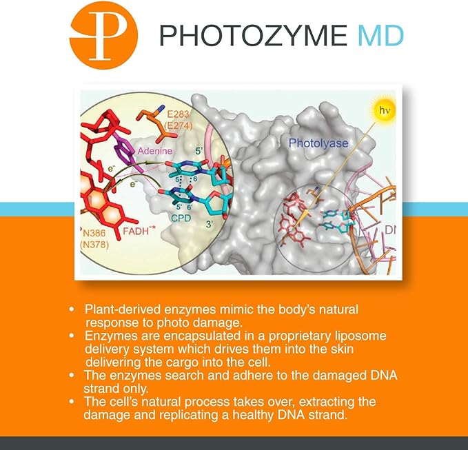 PHOTOZYME iQuad Total Eye Therapy with DNA Repair Enzymes | Anti Aging Eye Cream | Use to Reduce Bags, Dark Circles, Puffiness | Firms and Tightens The Delicate Skin Surrounding The Eye | 0.5 Fl Oz
