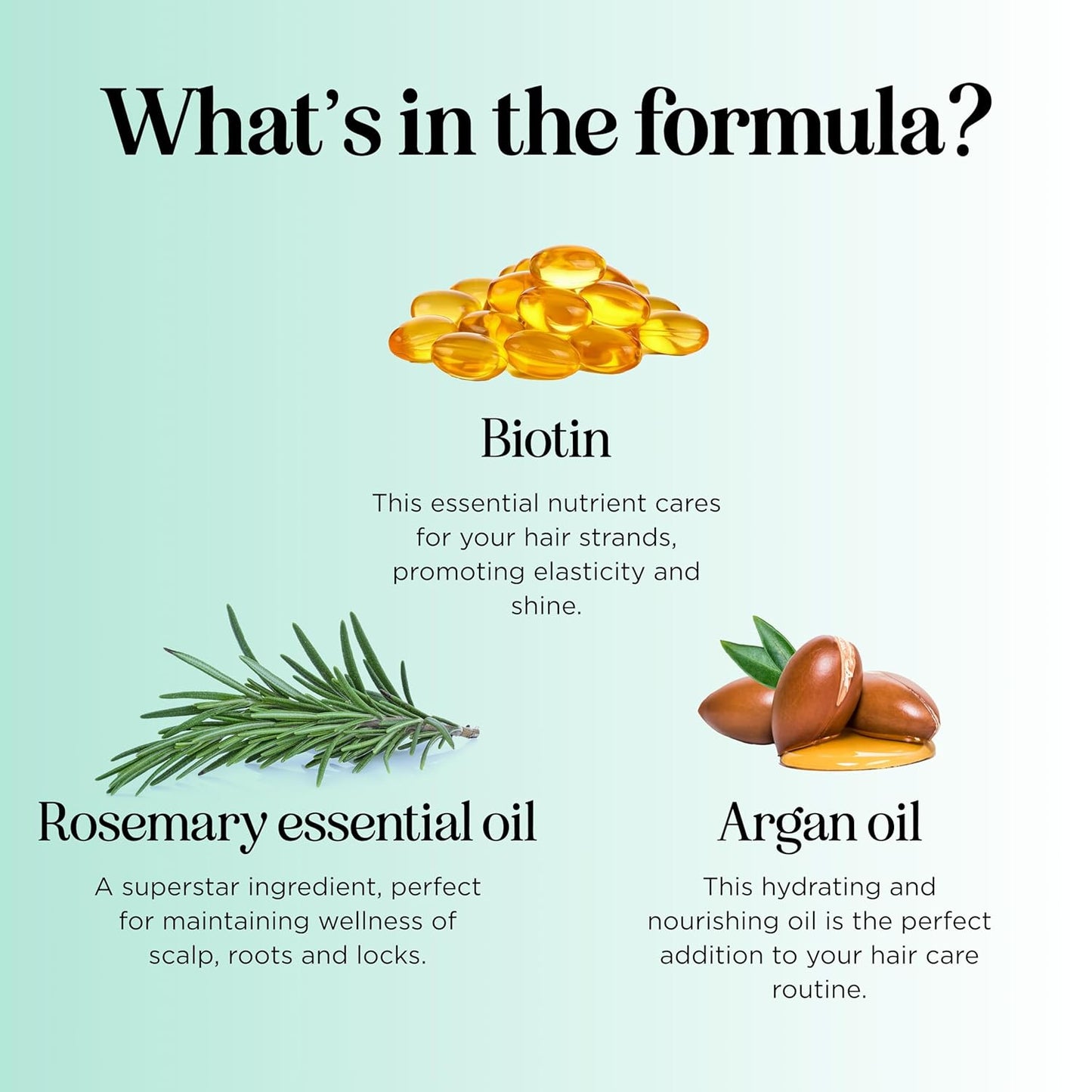 Biotin Rosemary Conditioner for Thinning Hair - Vegan Rosemary Biotin Conditioner with Volumizing Plant Proteins & B Vitamins for Fine Weak & Dull Hair - Sulfate Paraben & Silicone Free (16 Fl Oz)