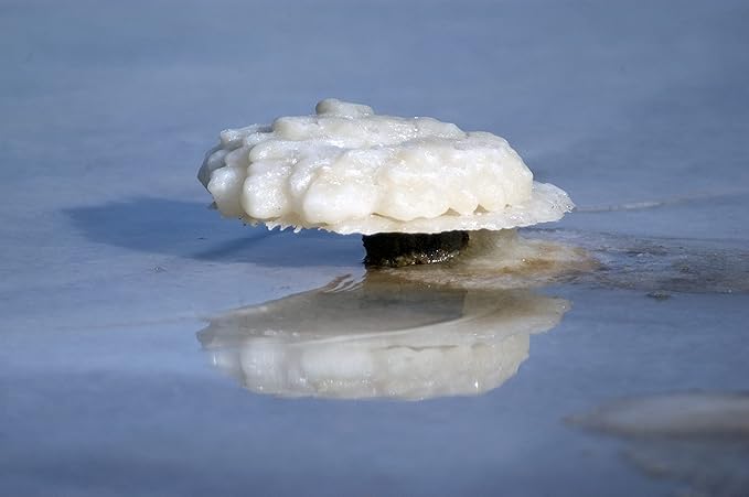 Dead Sea Salt – 18oz Travel Bag Dead Sea Mineral Salt for Bath, Spa, Shower –More Minerals Then Epsom-Pure and Natural Bath Salt for Foot Soak, Inflammation, Fine Salt Mined from Dead Sea