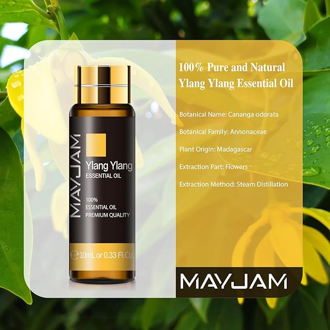 Ylang Ylang Essential Oil, MAYJAM 10ML/0.33FL.OZ Premium Ylang Ylang Oils for Soap Candle Making, Diffuser, Bedroom, Living Room, Office