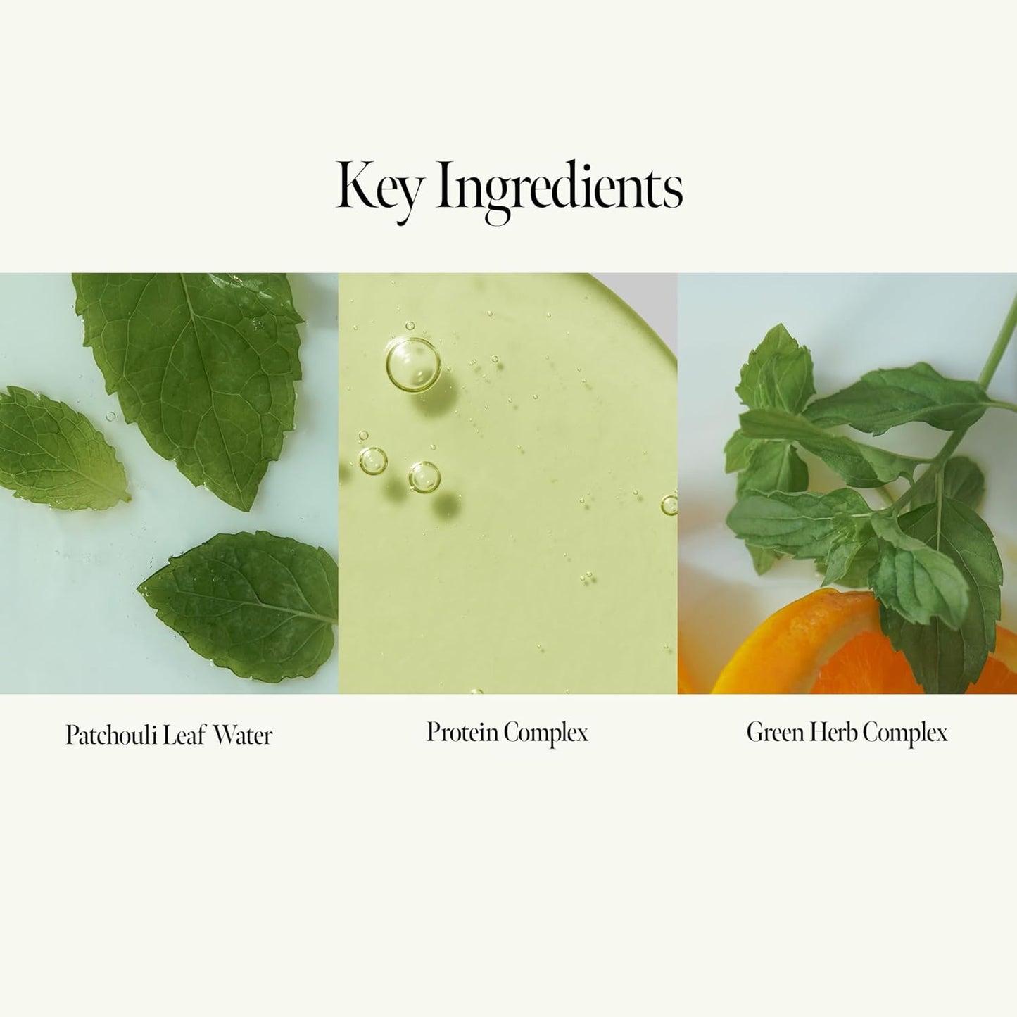 ANILLO Patchouli Garden Damage Repair Hair Essence – Korean Hair Essence Oil for Damaged Hair w/Patchouli Leaf Water, Protein Complex & Amino Acids – Vegan Leave in Hair Serum (50ml / 1.69 fl. Oz)