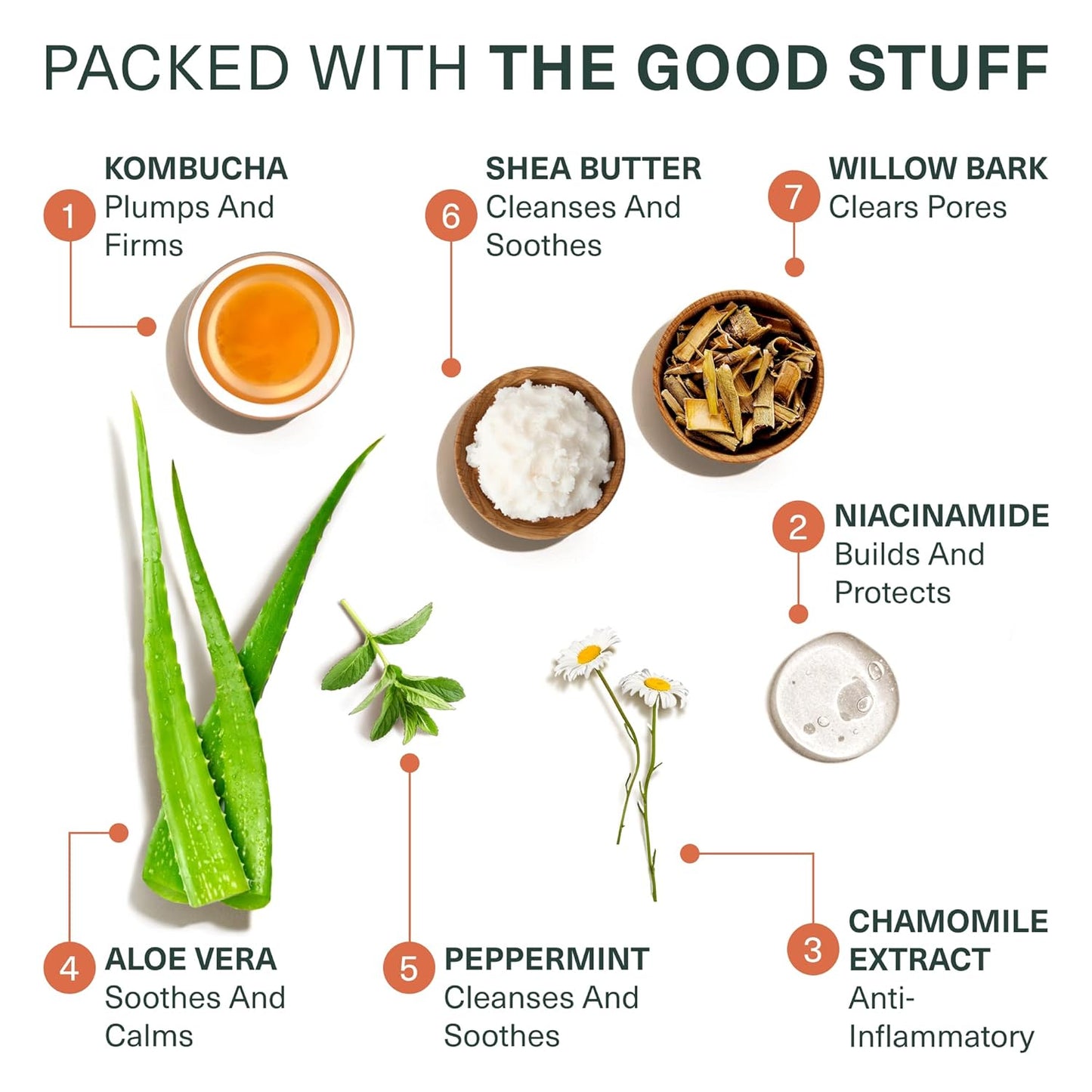 Botanic Tree Kombucha & Glycolic Acid Exfoliating Face Wash for Aging Skin - Face Cleanser for Women - Kombucha Lipofilling Effects and Skin Healthy Probiotics and Antioxidants