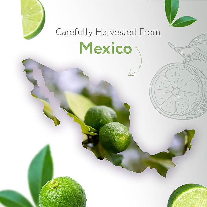 HBNO Lime Essential Oil - Huge 4 oz (120ml) Value Size - Natural Lime Oil, Cold Pressed - Perfect for Cleaning, Aromatherapy, DIY, Soap & Diffuser - Lime Essential Oils