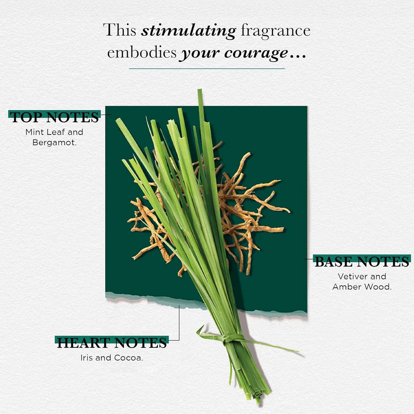 SOLINOTES Vetiver Perfume for Men - Eau De Parfum | Bold and Sensual Adventure - Made in France - Vegan - 1.7 fl.oz