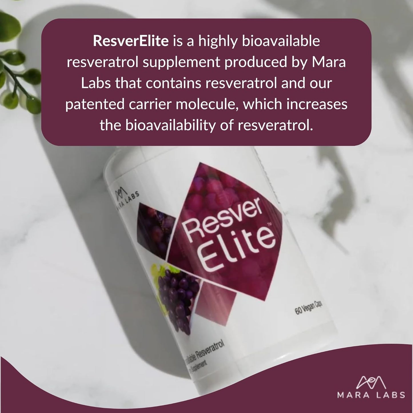 Mara Labs ResverElite | Bioavailable Resveratrol | Vegan, No Fillers, and Non-GMO | 60 Vegan Capsules