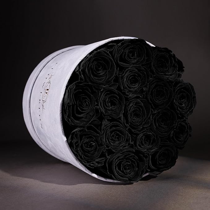 17 Flowers in a Luxury Suede Box, Birthday Gifts for Women, Preserved Flowers, Mothers Day Roses Gift for Mom, Black