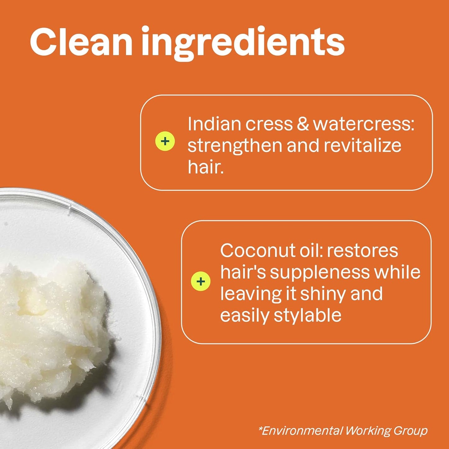 ATTITUDE Amplifying Conditioner for Curly Hair with Coconut Oil, Vegan Detangler and Naturally Derived Ingredients, 2a, 2b, 2c Curl Type, Gives body to Curls, 16 Fl Oz (Pack of 6)