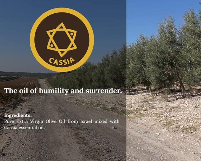 Cassia Anointing Oil from Israel, Holy Spiritual Oils Bottles from Jerusalem Blessed, Handmade with Natural Ingredients and Blessed for Wedding Ceremony, Religious Use, 8.45 Fl Oz