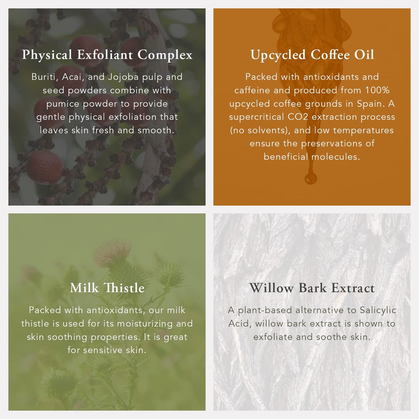 Caldera + Lab The Body Bar Exfoliating Soap– Certified, Vegan, Exfoliating and Organic Bar Soap with Antioxidant Botanicals