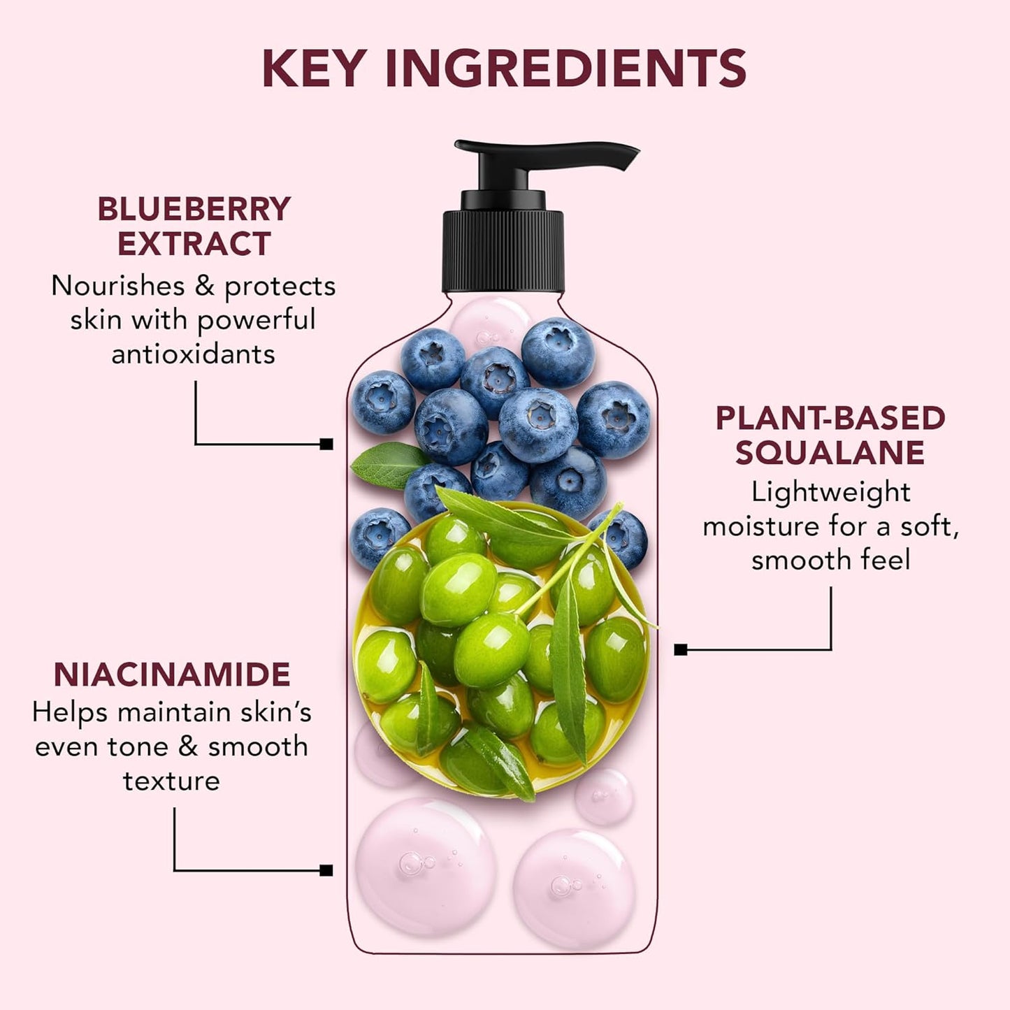 Botanic Hearth Blueberry & Plant Squalene Body Lotion | with 5 Oil Blend & Butters, Deep Moisturizing & Nourishment, 5-in-1 Care, No Parabens or Mineral Oil, 16 fl oz / 473 ml