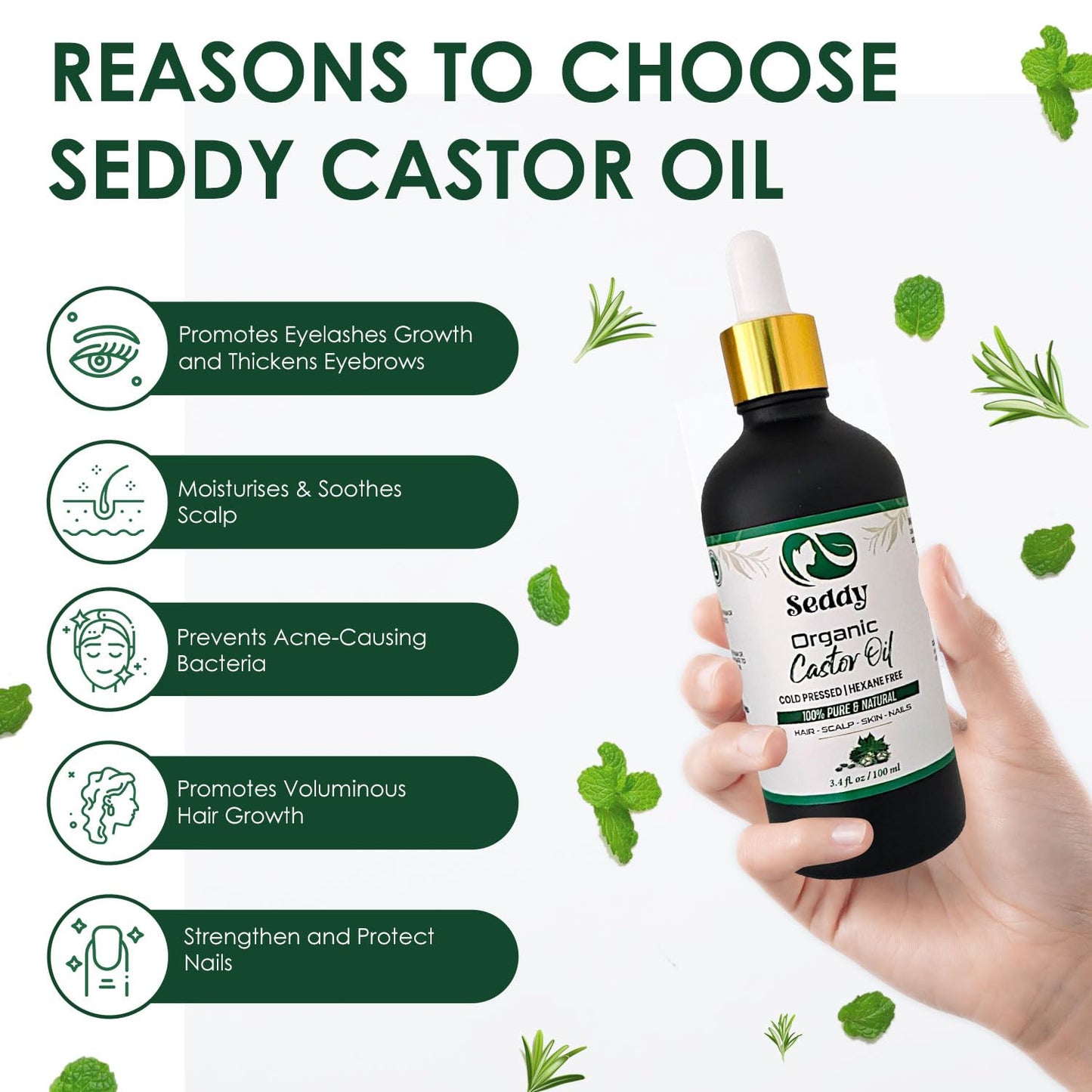Seddy Organic Castor Oil - Cold Pressed | Hexane-Free | Pure | Hair, Scalp, Eyelashes, Eyebrows, Skin, & Nails | Hair Treatment Oil - 3.4 Fl. Oz