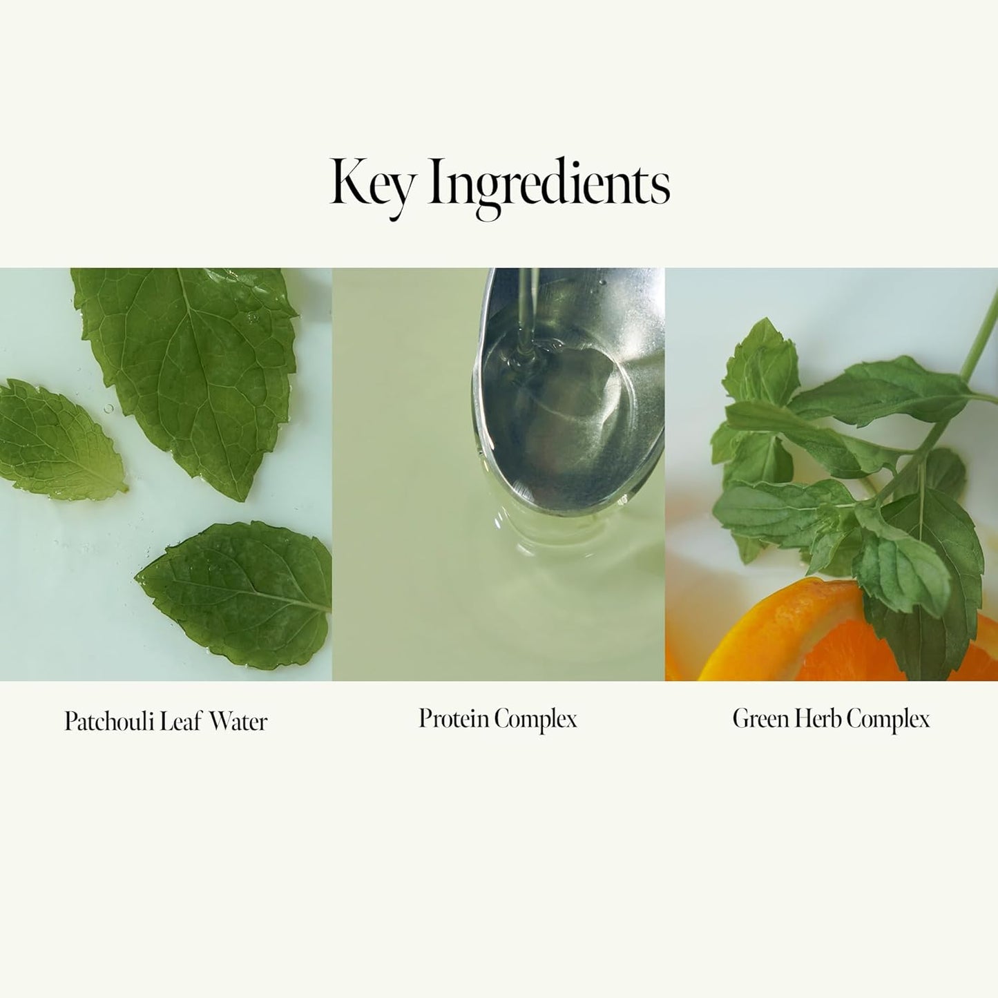 ANILLO Patchouli Garden Damage Repair Shampoo - Korean Hair Care Nourishing Shampoo for Men & Women w/Patchouli Leaf Water, Protein Complex & Green Herb Complex - Vegan Scalp Cleanser (10.14 fl.oz)